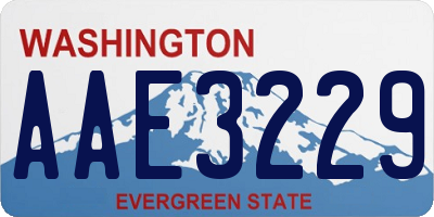 WA license plate AAE3229