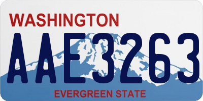 WA license plate AAE3263