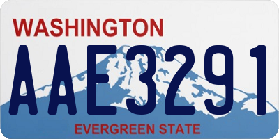 WA license plate AAE3291