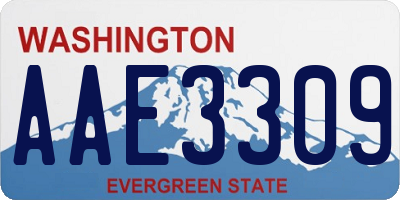 WA license plate AAE3309