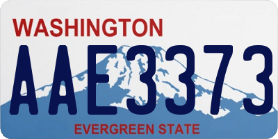 WA license plate AAE3373