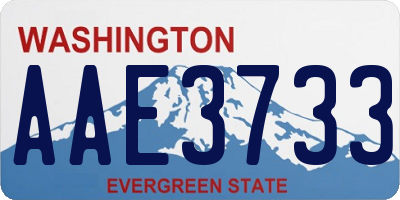 WA license plate AAE3733