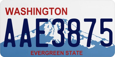 WA license plate AAE3875