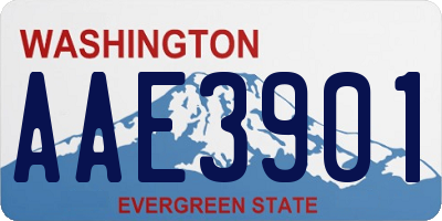 WA license plate AAE3901