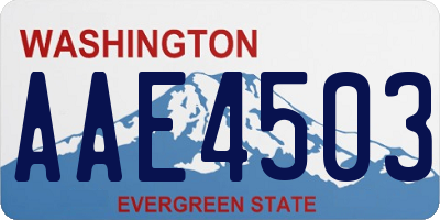 WA license plate AAE4503