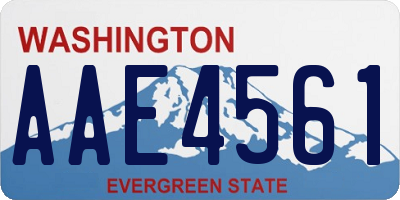 WA license plate AAE4561