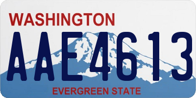 WA license plate AAE4613