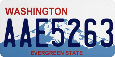 WA license plate AAE5263