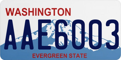 WA license plate AAE6003