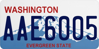 WA license plate AAE6005