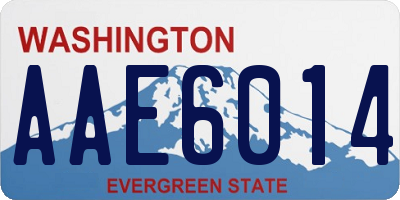 WA license plate AAE6014