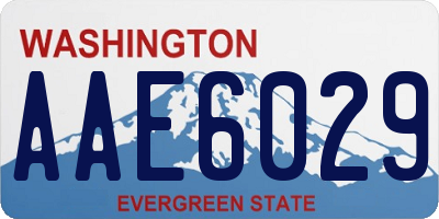 WA license plate AAE6029