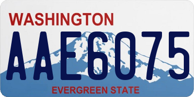 WA license plate AAE6075