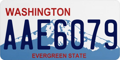 WA license plate AAE6079