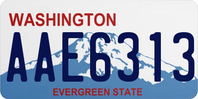 WA license plate AAE6313