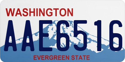WA license plate AAE6516