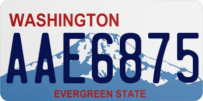 WA license plate AAE6875
