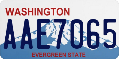 WA license plate AAE7065