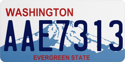 WA license plate AAE7313