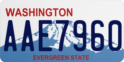 WA license plate AAE7960