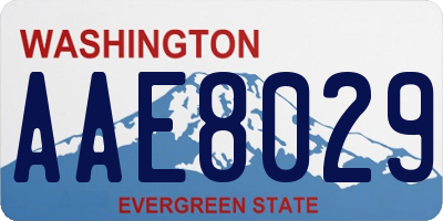 WA license plate AAE8029