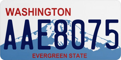 WA license plate AAE8075