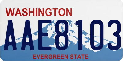 WA license plate AAE8103