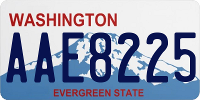 WA license plate AAE8225