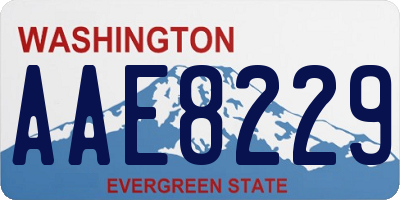 WA license plate AAE8229