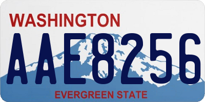 WA license plate AAE8256