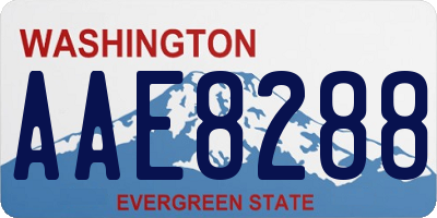 WA license plate AAE8288