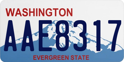 WA license plate AAE8317