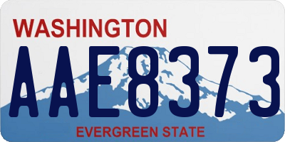 WA license plate AAE8373