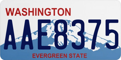 WA license plate AAE8375
