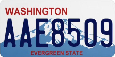WA license plate AAE8509