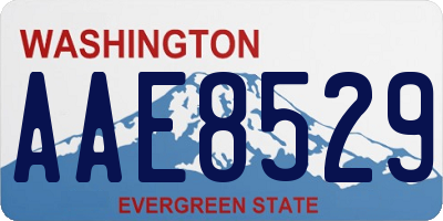 WA license plate AAE8529