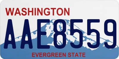 WA license plate AAE8559