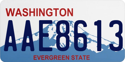 WA license plate AAE8613