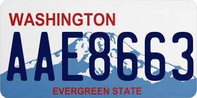 WA license plate AAE8663