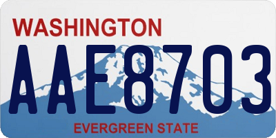 WA license plate AAE8703