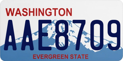 WA license plate AAE8709