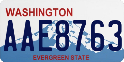WA license plate AAE8763