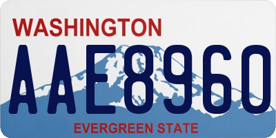 WA license plate AAE8960