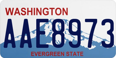 WA license plate AAE8973