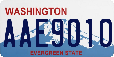 WA license plate AAE9010
