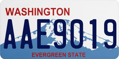 WA license plate AAE9019