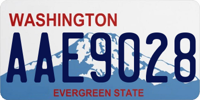 WA license plate AAE9028