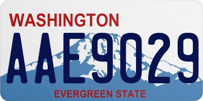 WA license plate AAE9029