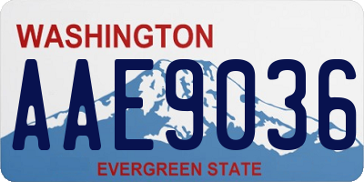 WA license plate AAE9036