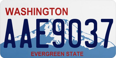 WA license plate AAE9037